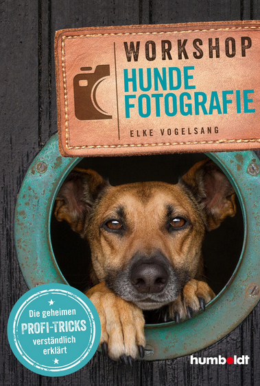 Buch Hunde Fotografie